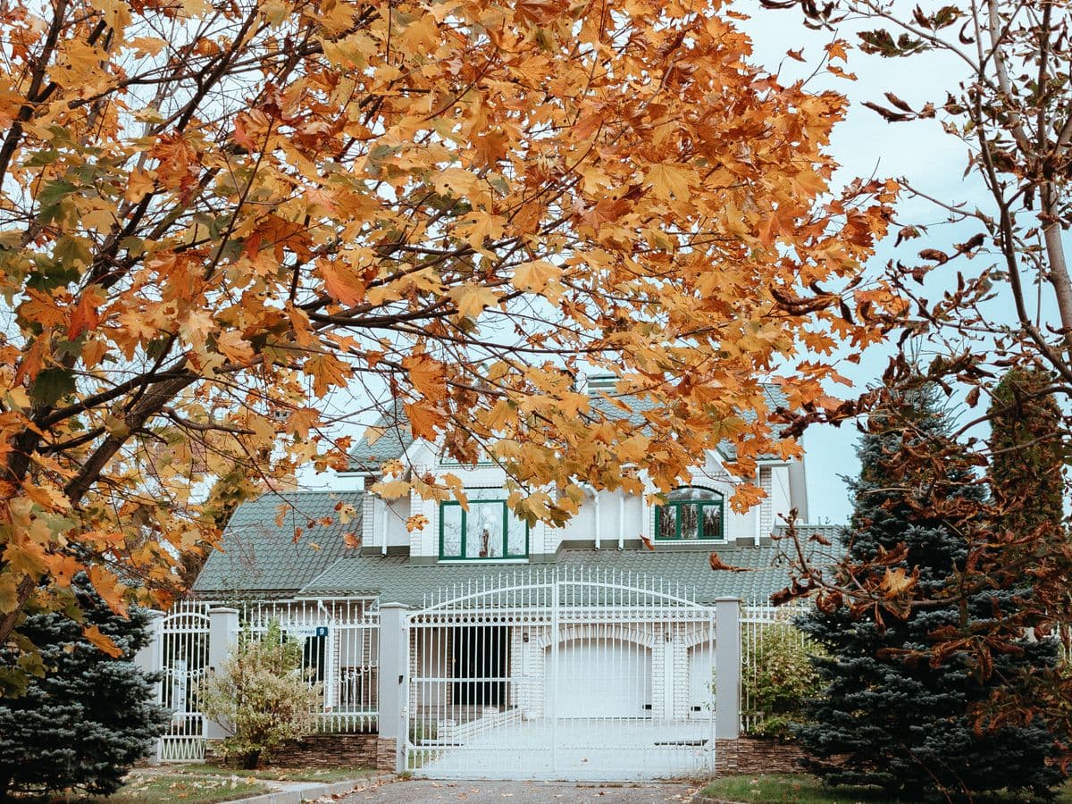 Fall Cleanup — Leaf removal & haul-away by Ruiz Landscaping