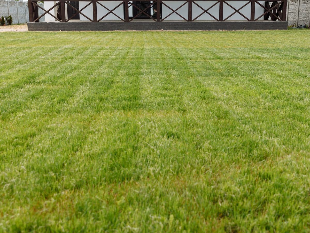Striped Lawn — Weekly mow with clean edges by Ruiz Landscaping