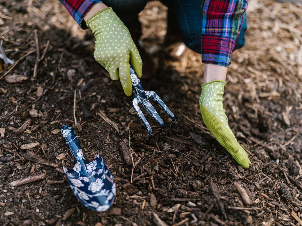 Fresh Mulch Beds — Spring bed refresh by Ruiz Landscaping